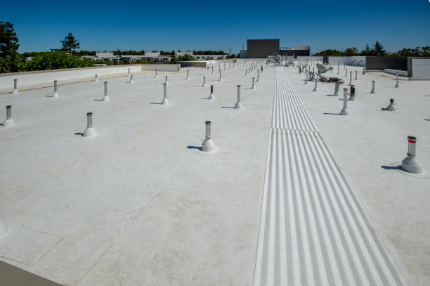 Best Rubber Roofing (EPDM, TPO)  in Rehobeth, AL